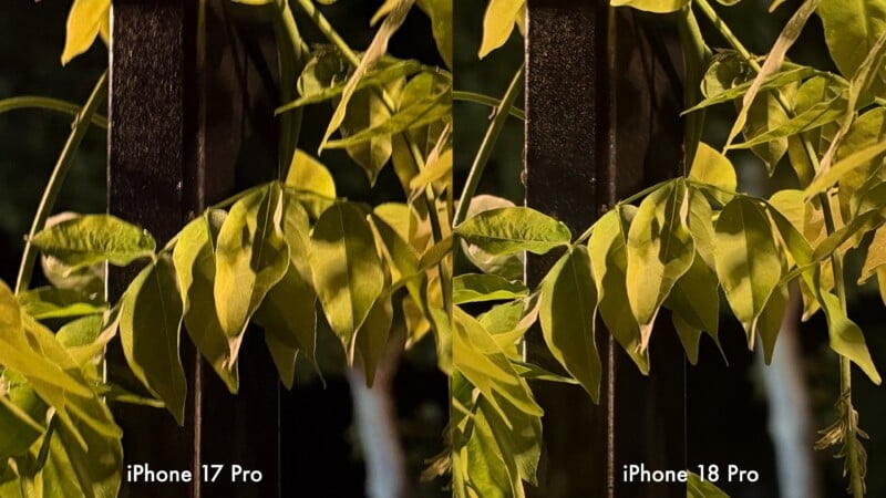 A side-by-side comparison of two identical images of leaves against a dark fence, labeled "iPhone 17 Pro" on the left and "iPhone 18 Pro" on the right.