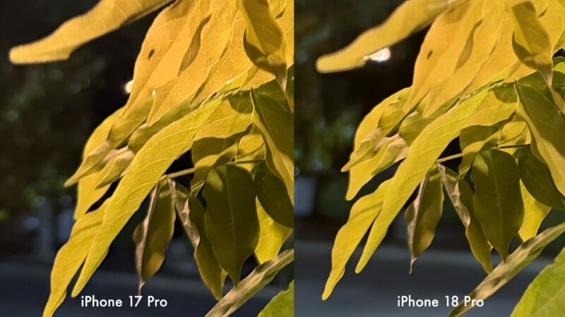 A side-by-side comparison of two night-time close-up shots of yellow-lit leaves, labeled "iPhone 17 Pro" on the left and "iPhone 18 Pro" on the right.
