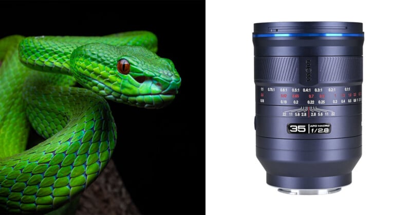 A green viper with a black background is shown next to a Laowa 35mm f/2.8 APO Macro lens.