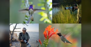 A collage showing two photographers with long-lens cameras and two hummingbirds, one perched on a branch and one feeding from a flower.