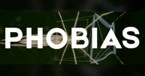 The word "PHOBIAS" in large white capital letters is superimposed over a close-up view of a spider on its web.