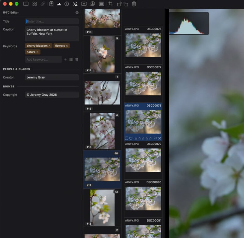 A photo editing software interface displays a grid of cherry blossom images, with an IPTC metadata editor panel on the left and a histogram in the top right.