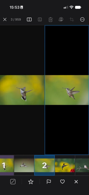 A split-screen view shows two nearly identical photos of a hummingbird in flight against a blurred green and yellow background, with a filmstrip of additional hummingbird photos at the bottom.