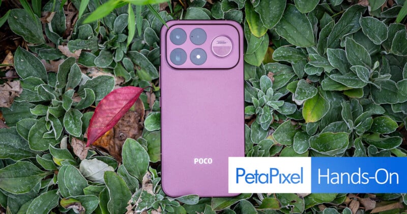 A purple smartphone with a multi-lens camera module and a "Sound by Bose" logo rests on a bed of green, frost-covered leaves next to a single red leaf.