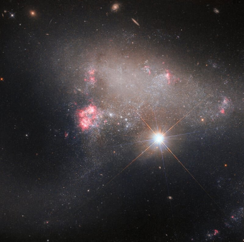 A bright, spiky star shines in the foreground of a large, diffuse, and irregularly shaped galaxy filled with star clusters.