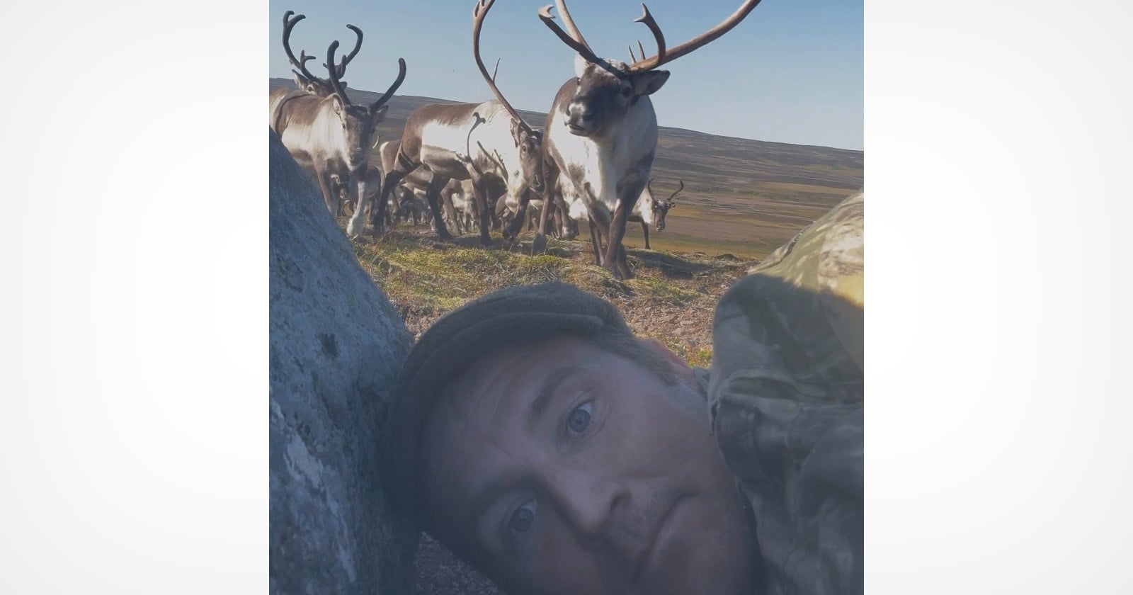 Photographer Hides Behind Rock as Herd of 400 Wild Reindeer Comes Charging at Him