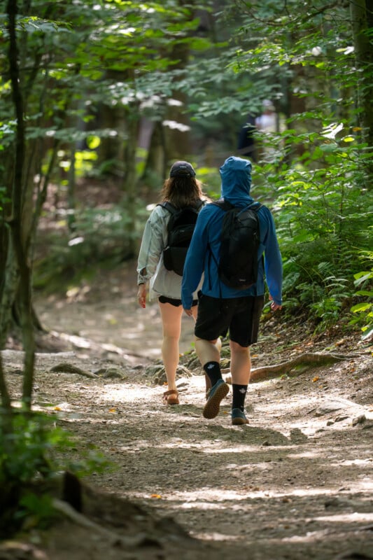 Two people with backpacks walk away from the camera along a dirt trail through a sunlit forest.