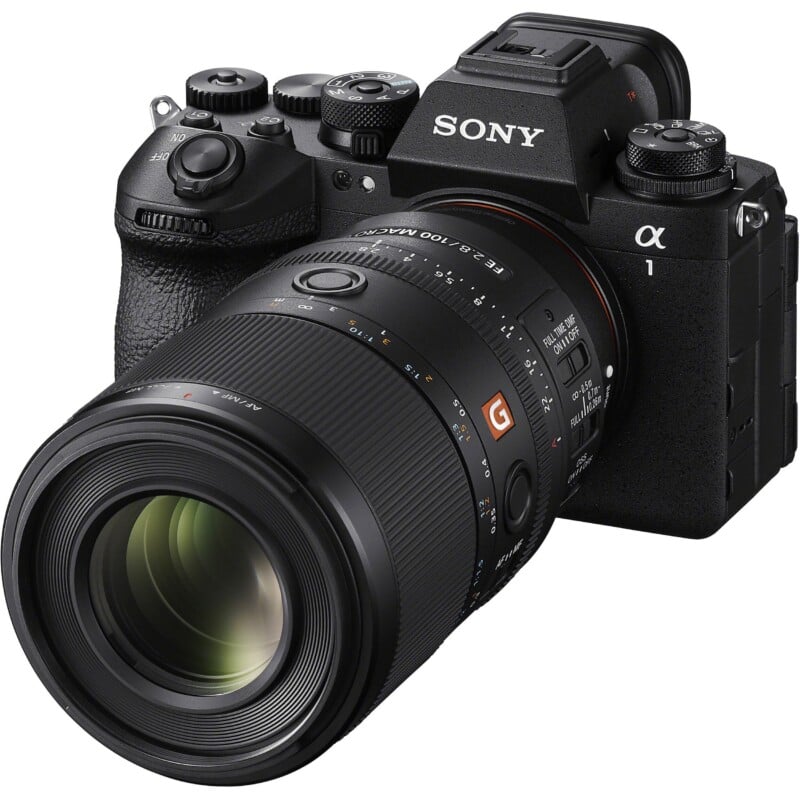 FE 100mm f/2.8 Macro GM