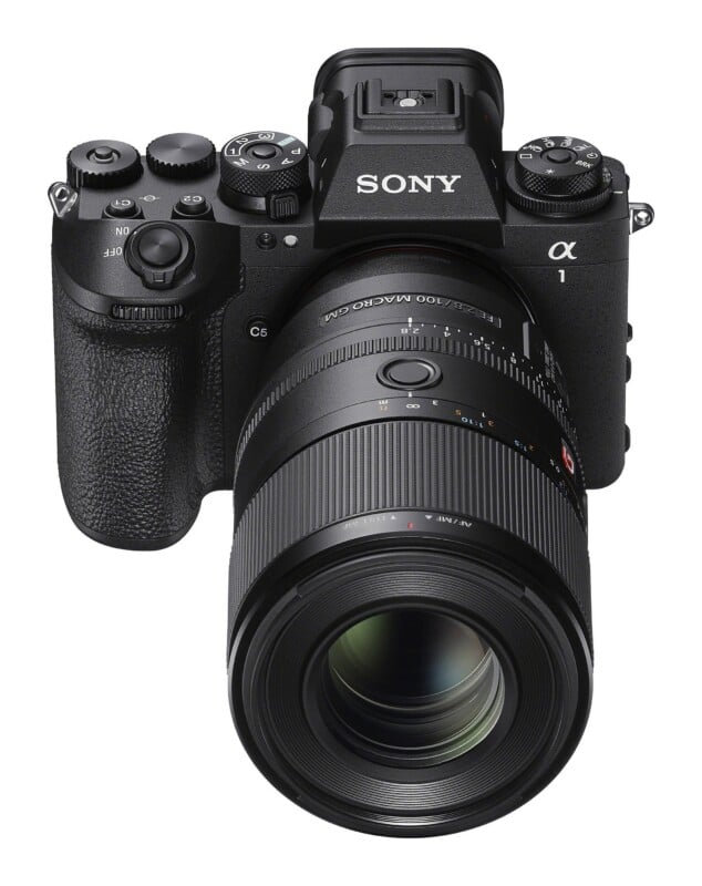FE 100mm f/2.8 Macro GM