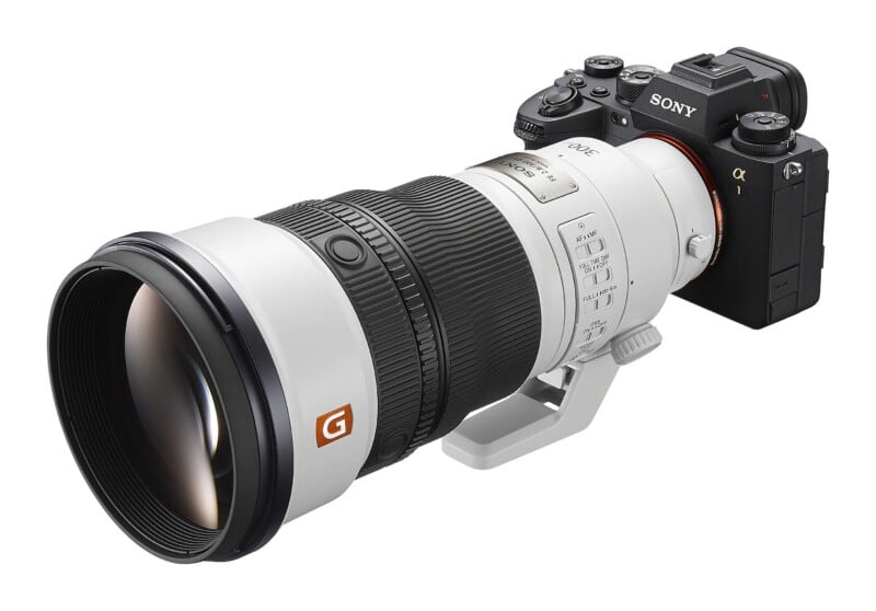 FE 300mm f/2.8 GM OSS