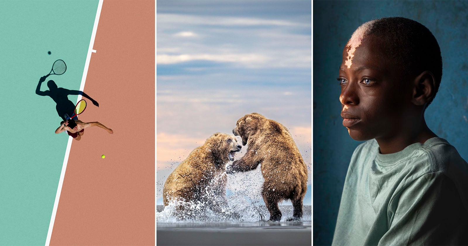 Curated Visions: Inspiring Entries for the Sony World Photography Awards 2027