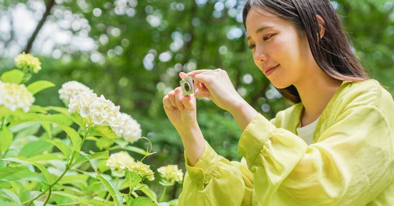 A young woman in a light green shirt holds a small, compact camera to photograph white hydrangea flowers in a garden.
