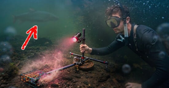 A diver underwater holds a camera rig with a light pointed at a submerged metal cage, while a large fish swims in the background.