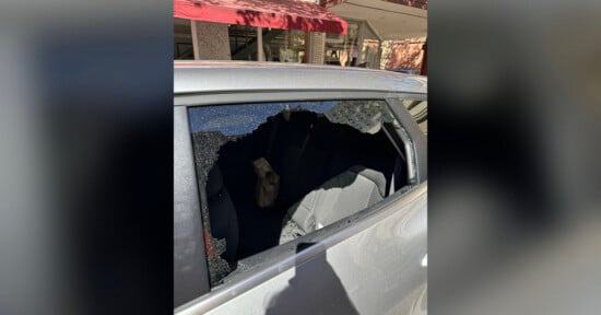 A car with a shattered rear passenger window, showing a paper bag sitting on the back seat.