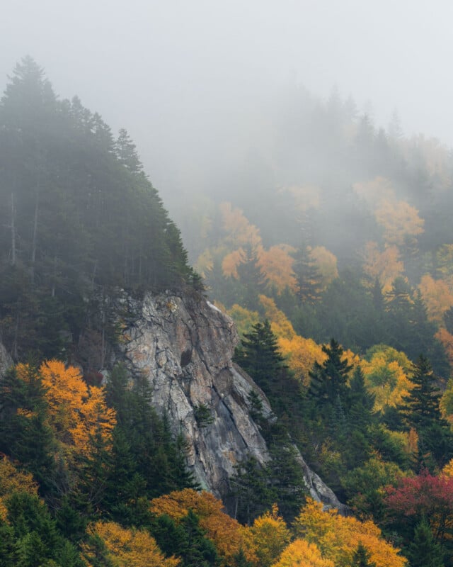 A rocky cliff face rises from a dense forest of evergreen and autumn-colored deciduous trees, partially obscured by thick fog.