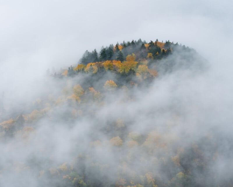 A forested hillside with autumn foliage emerges through thick, low-hanging clouds.