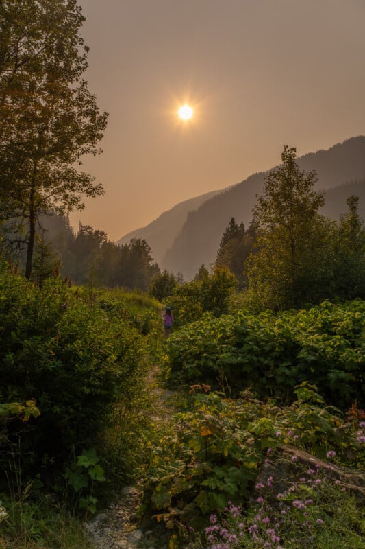 A person walks along a narrow dirt path through a lush, green valley toward distant mountains under a hazy, sunlit sky.
