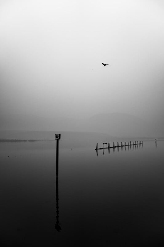 A lone bird flies over a calm, misty lake featuring a single navigation post in the foreground and a row of pilings beyond.