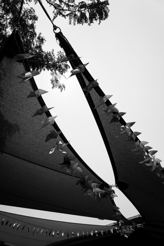 A black and white low-angle shot shows rows of pinwheels strung between two triangular shade sails against a bright sky.