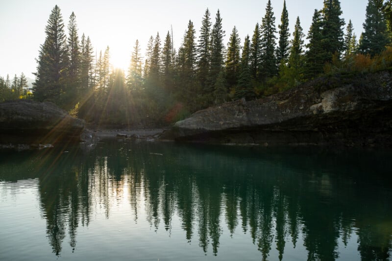 Sunlight filters through a dense forest of pine trees, casting reflections onto the calm, dark water of a rocky riverbank.