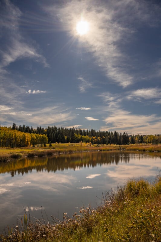 A calm pond reflects the blue sky and sun, bordered by autumn trees and tall grasses under a bright, cloudy sky.