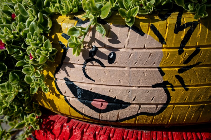 A painted face resembling Charlie Brown on a yellow tire planter, partially covered by green succulent plants.