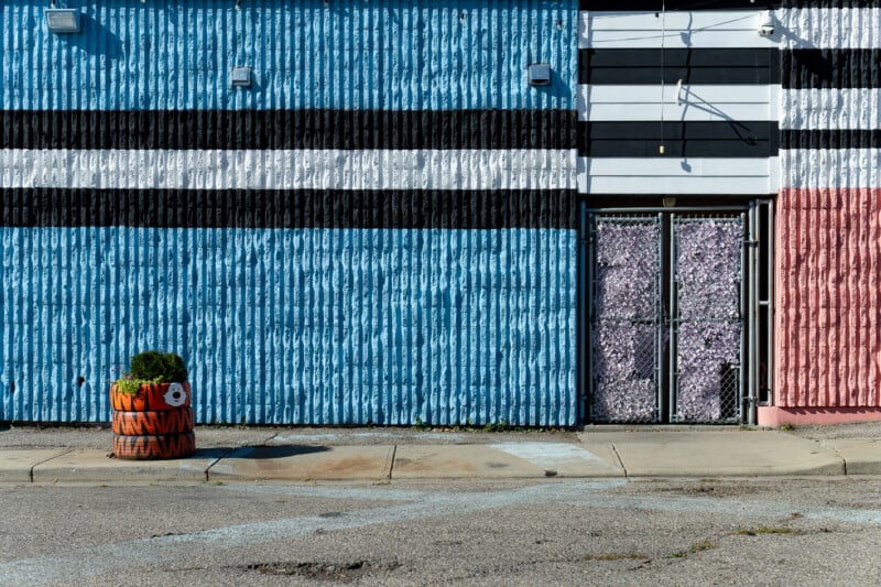 A blue, black, and white striped textured wall features a double gate covered in artificial flowers and a stack of painted tires holding a plant.