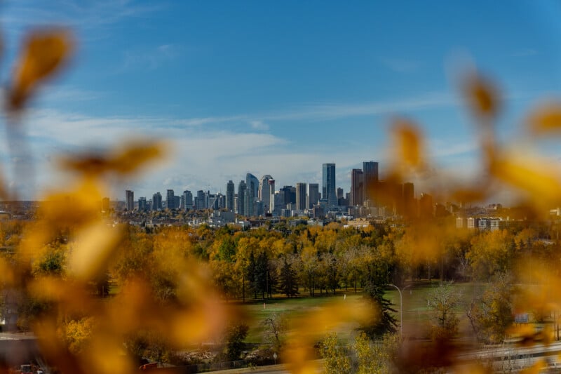 A city skyline rises above a park filled with autumn trees, framed by out-of-focus yellow leaves in the foreground.