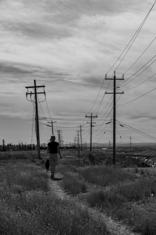A person walks with a dog along a dirt path beneath a line of utility poles in a grassy field under a cloudy sky.