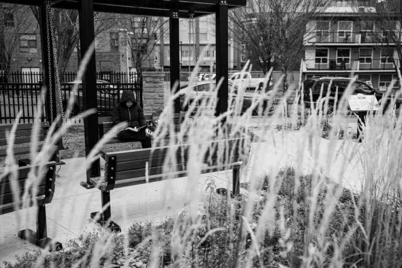 A person in a hooded jacket sits on a park swing reading a book, viewed through tall ornamental grasses in the foreground.