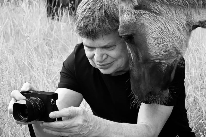 A person in a black shirt holds a camera to review a photo while a horse stands closely beside them in a field of tall grass.