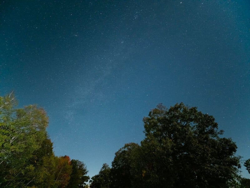 A night sky filled with stars and a faint band of the Milky Way stretches above the silhouettes of trees.