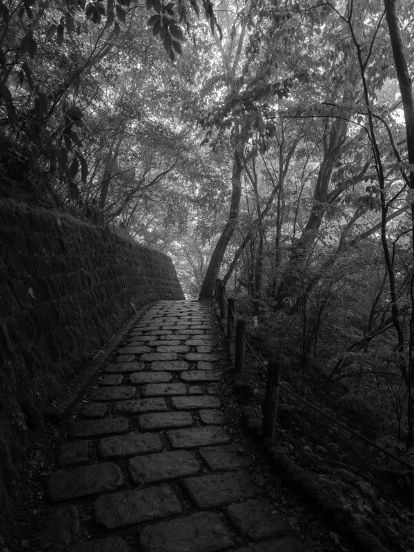 A stone-paved path winds upward through a dense, misty forest, bordered by a mossy stone wall on the left and a wooden railing on the right.