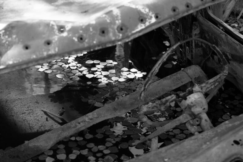 A black and white close-up shows the interior of a rusted, submerged vehicle filled with water and floating leaves, with a steering wheel visible on the right.