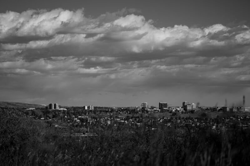 A black and white landscape view of a city skyline rising above a residential area and dense trees under a cloudy sky.