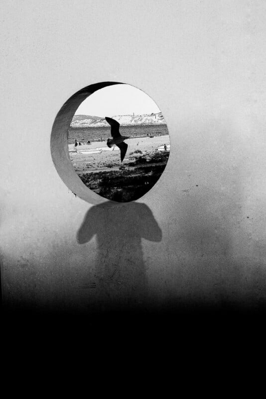A black-and-white photograph shows the shadow of a person cast against a wall, with a circular opening in the wall revealing a beach scene featuring a flying seagull.
