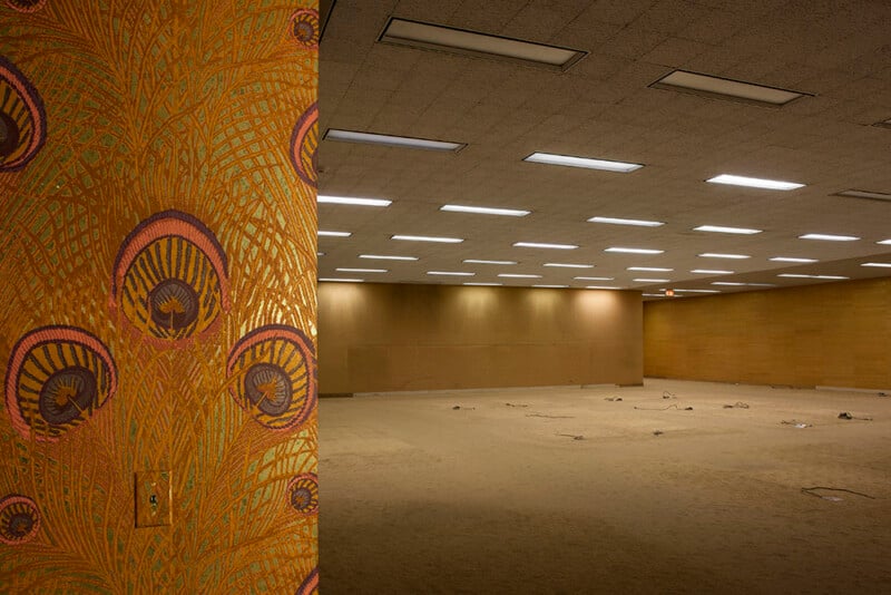 A split-view image shows a close-up of gold and purple peacock-patterned wallpaper on the left and a large, empty, carpeted office space with recessed ceiling lights on the right.