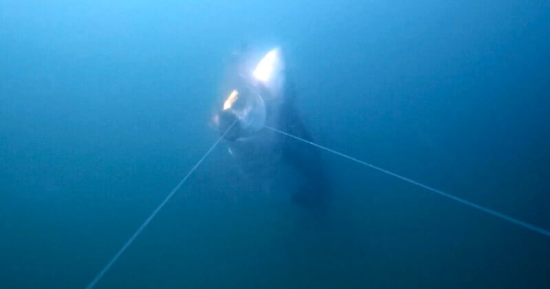 A dark, indistinct shape is partially illuminated underwater, with two thin lines extending outward from its center.