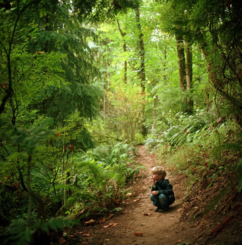 A young child in a dark jacket and jeans crouches on a dirt path in a lush, green forest.