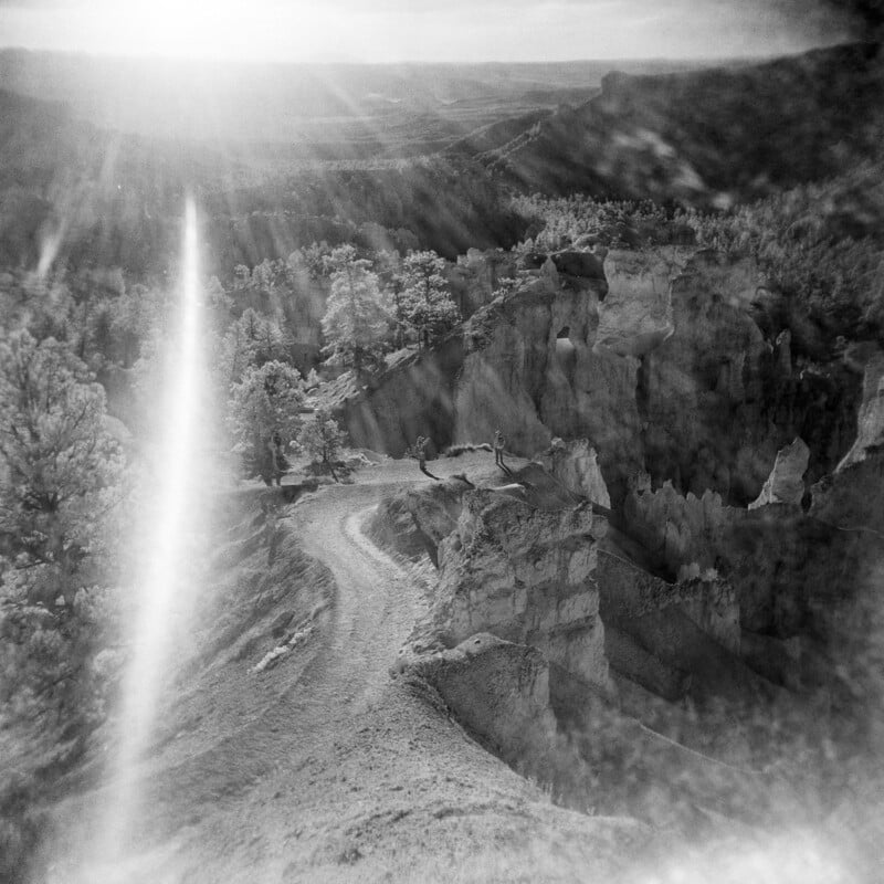 A black-and-white, high-contrast landscape shows a dirt path winding along a ridge toward two small figures standing on a cliff edge overlooking a canyon with rock formations and trees, under a bright, lens-flared sun.