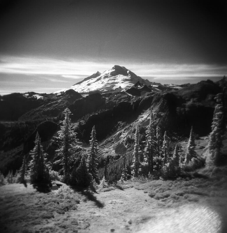 A black-and-white landscape featuring a snow-capped mountain peak rising above a forest of evergreen trees.