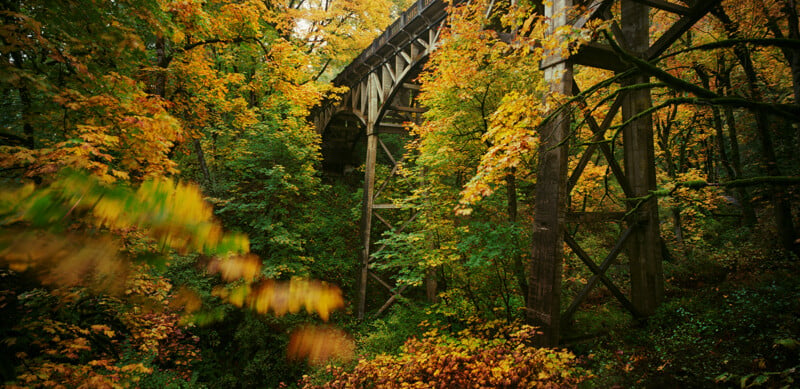 A concrete bridge trestle stands amidst a dense forest with vibrant yellow and green autumn foliage.