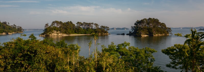 Two small, pine-covered islands sit in a calm bay, viewed from behind a foreground of lush green foliage.