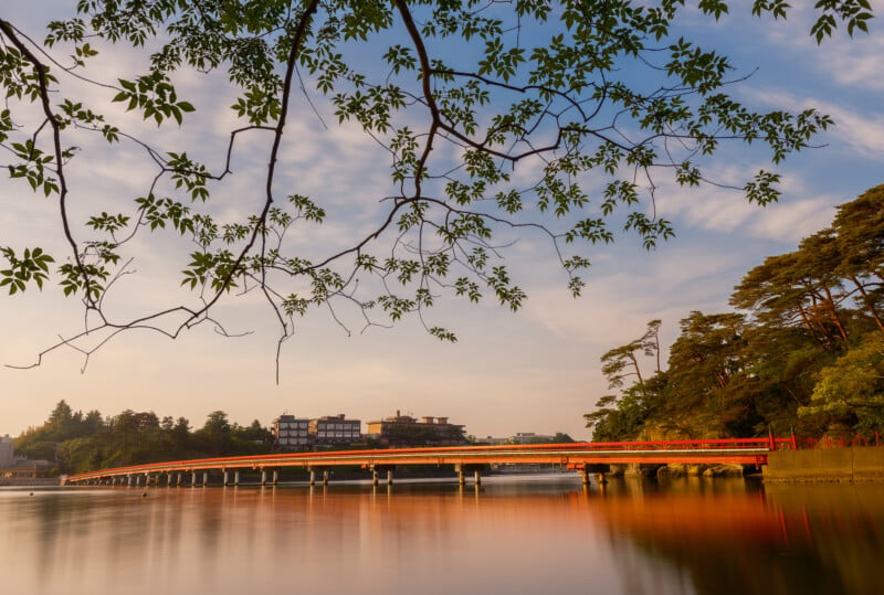 A long red bridge spans a calm body of water, with tree branches framing the top and buildings visible in the distance under a soft sky.