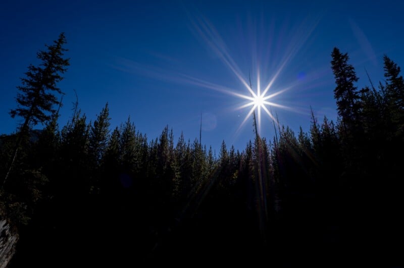 A bright sun with a prominent starburst effect shines in a deep blue sky above a silhouette of evergreen trees.