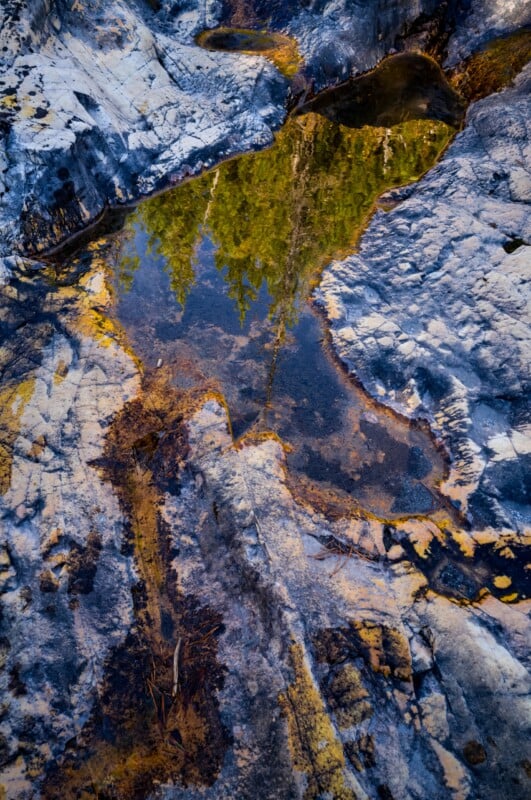 A pool of water sits in a depression within textured, multi-colored rock, reflecting the surrounding evergreen trees.
