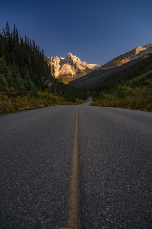 A paved road with a yellow center line leads toward a sunlit, snow-capped mountain peak framed by evergreen forests.