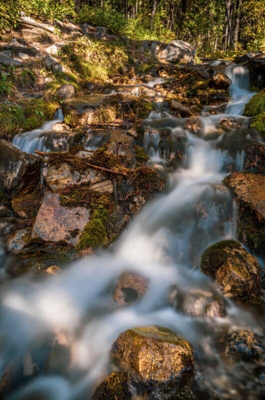 A small, cascading stream flows over mossy rocks in a sunlit forest.