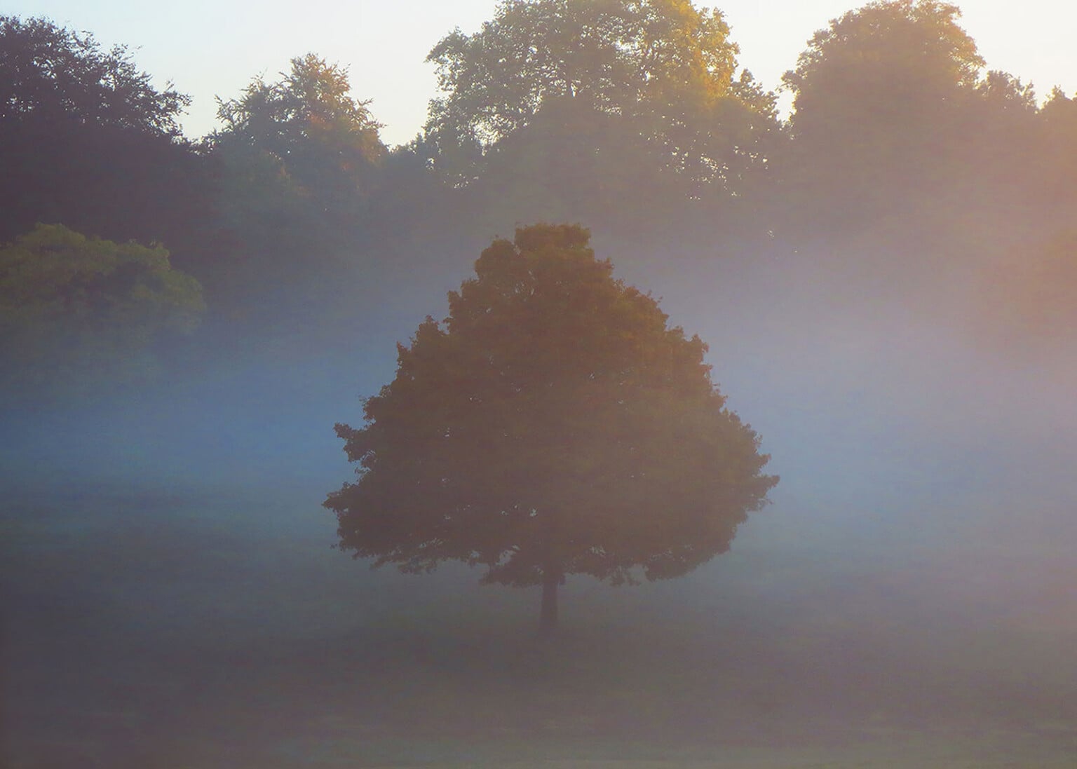 This Competition Celebrates New Photographers Who Have Been Shooting ...
