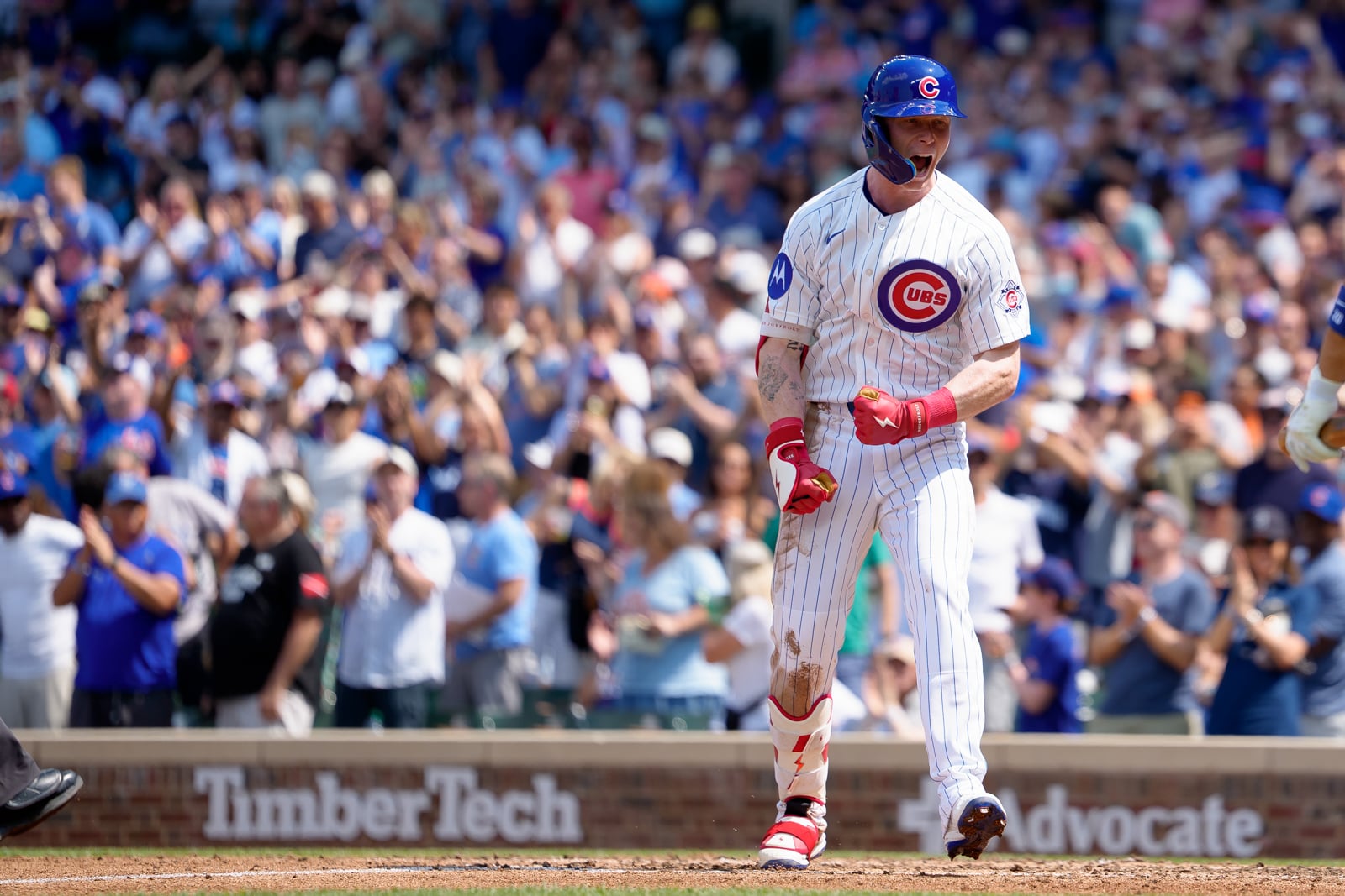 A Chicago Cubs baseball player in a pinstriped uniform celebrates on the field in front of a cheering crowd.